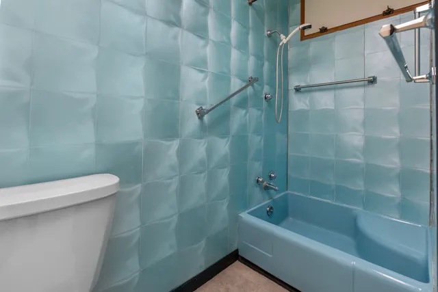 a bathroom with a bathtub and a toilet