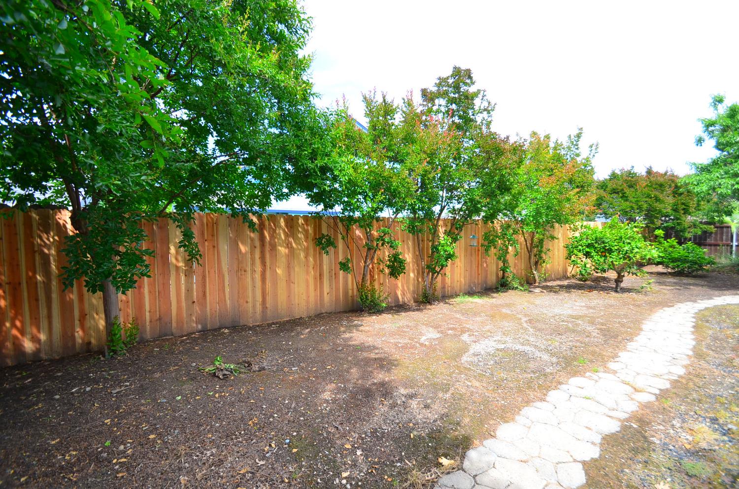 243 Rio Mesa Court Galt, CA 95632 - Photo 41 of 47 New Back Fence