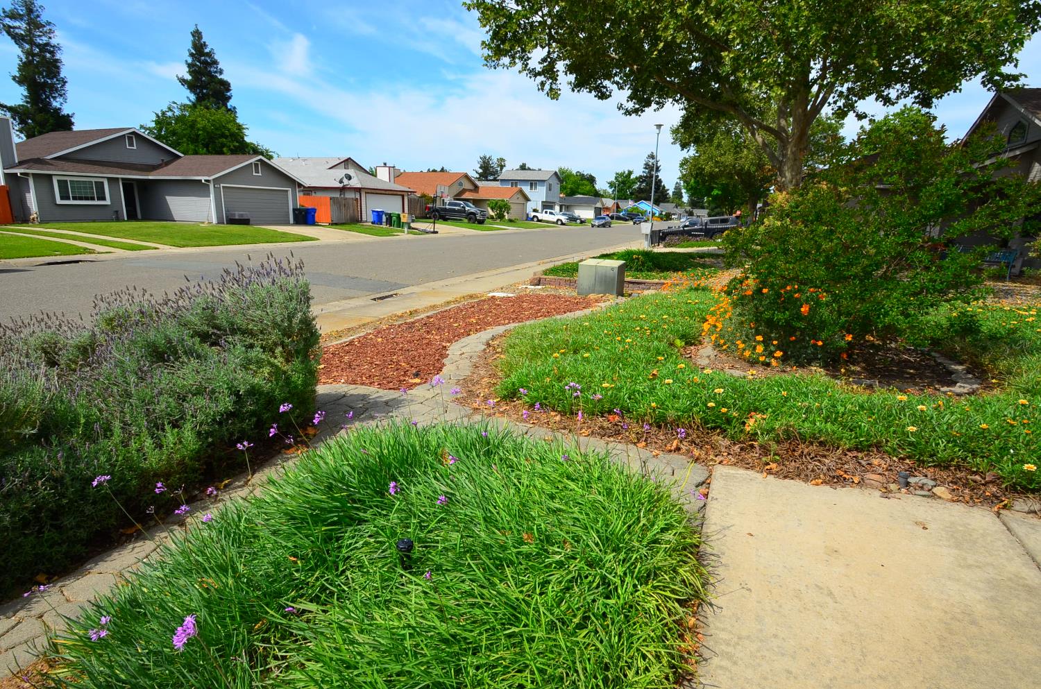 243 Rio Mesa Court Galt, CA 95632 - Photo 5 of 47