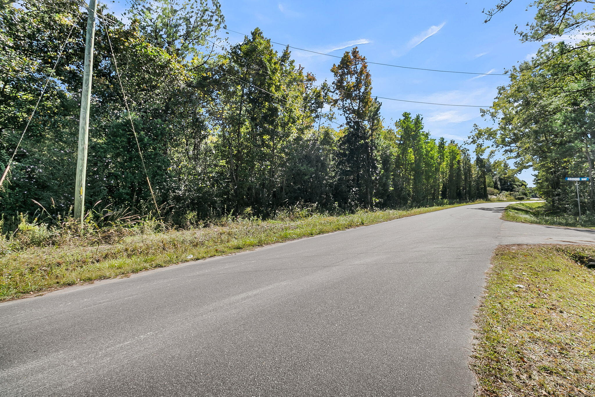 135 Jacob Piland Road Moncks Corner, SC 29461 - Photo 3 of 13 CREM - 135 Jacob Piland-3