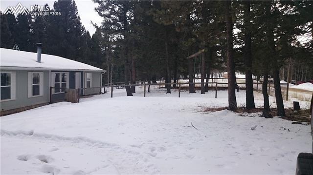346 Kutsu Ridge Road Florissant, CO 80816 - Photo 25 of 28