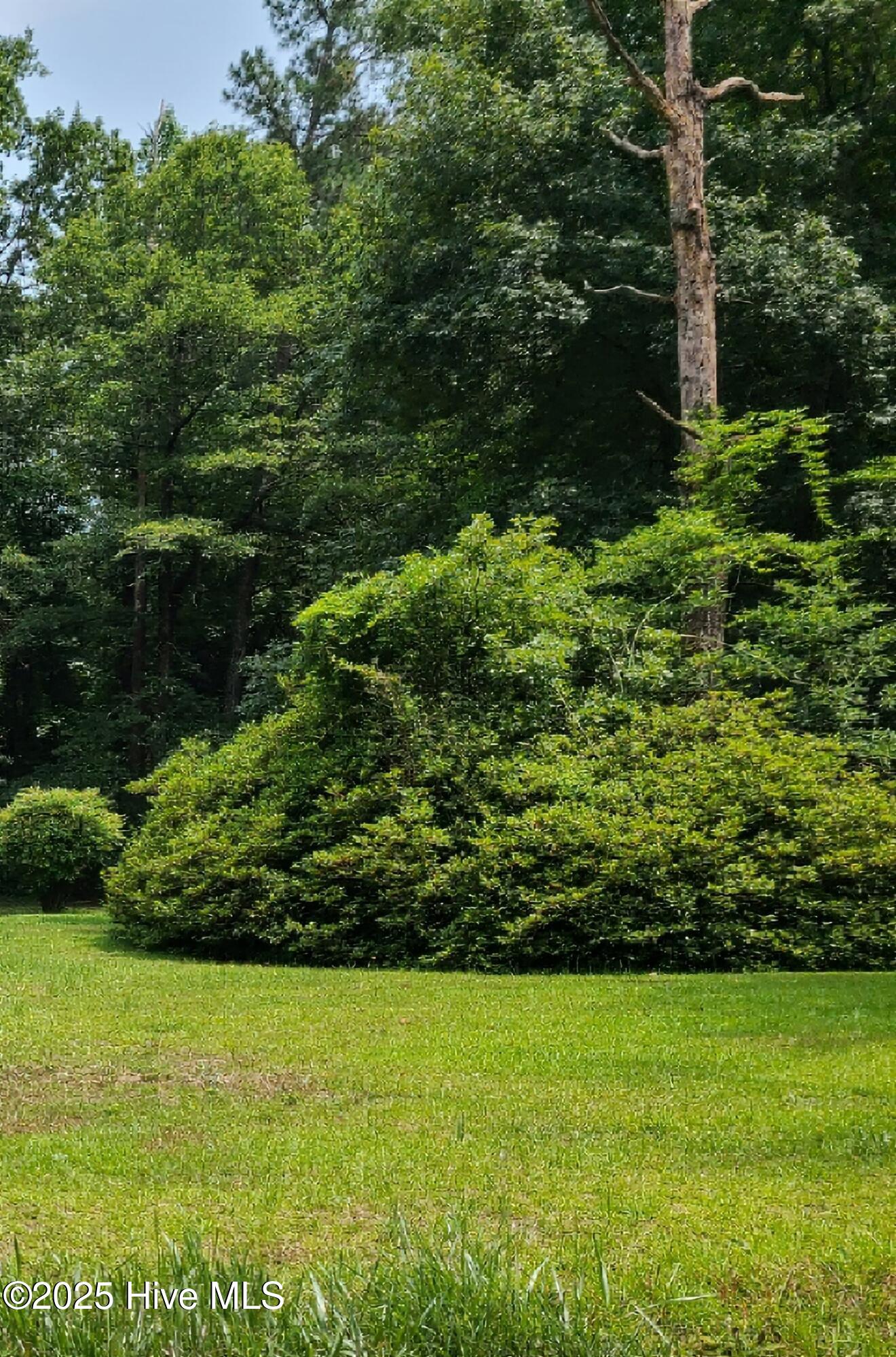 972 Cecil-Odie Road Clinton, NC 28328 - Photo 1 of 5 20250604_142157 - Copy