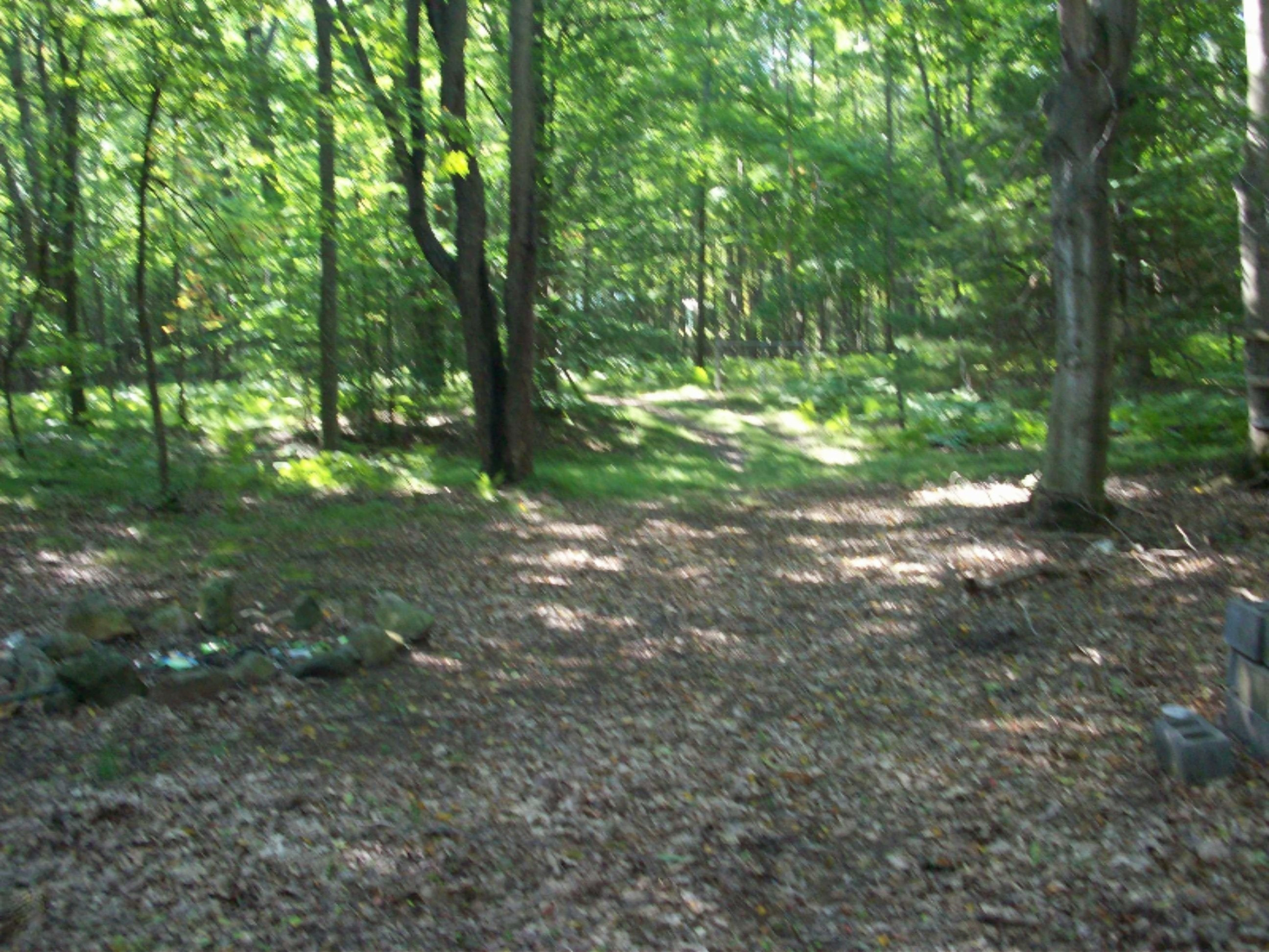 1127 South Saddler Road Reed City, MI 49677 - Photo 5 of 6 100_4208
