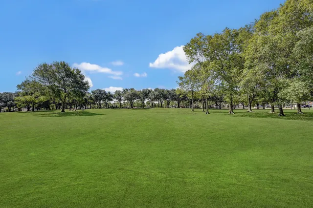 a view of a green field