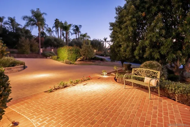 a living room with furniture a rug and a potted plant