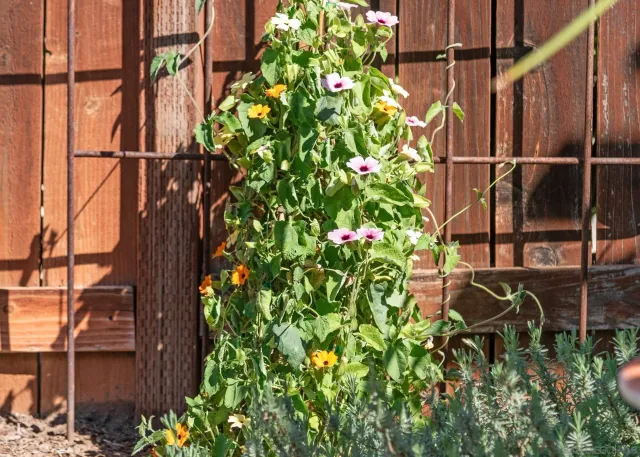 $1,000,000 | 1322 Loma De Paz, Escondido, CA 92027