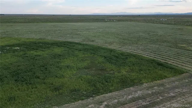 a view of an ocean from a yard