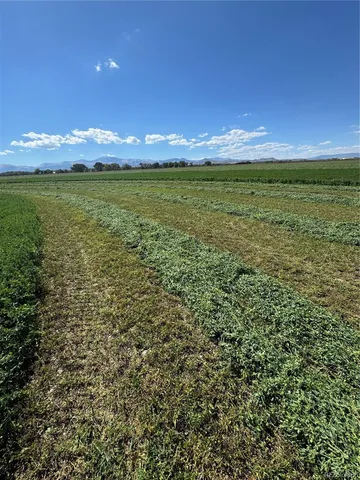 a view of a green field with an ocean view