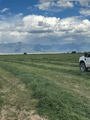 a view of a field with an trees