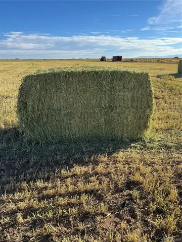 a view of an ocean and beach