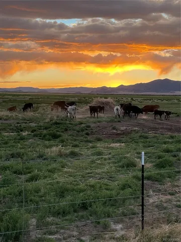 a view of a yard with an outdoor space