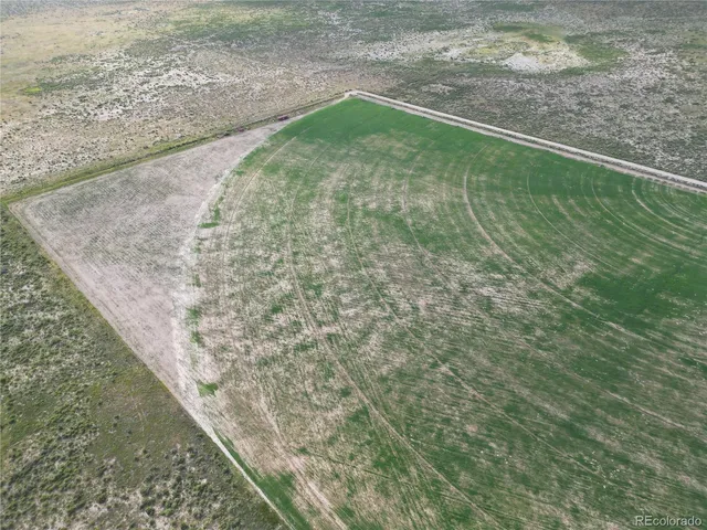 a view of a dry yard with wooden floor