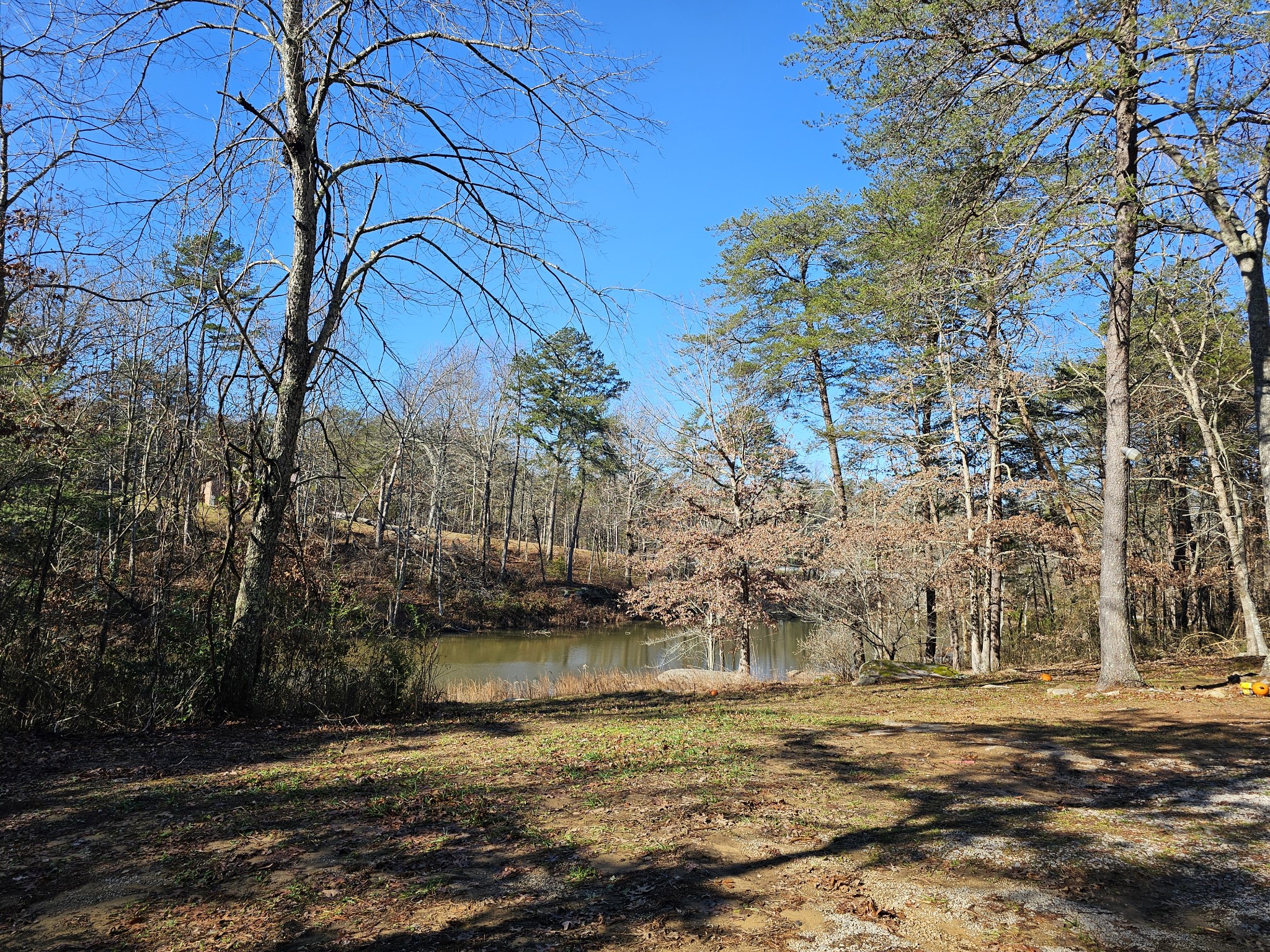 242 Ranger Creek Road Coalmont, TN 37313 - Photo 15 of 31