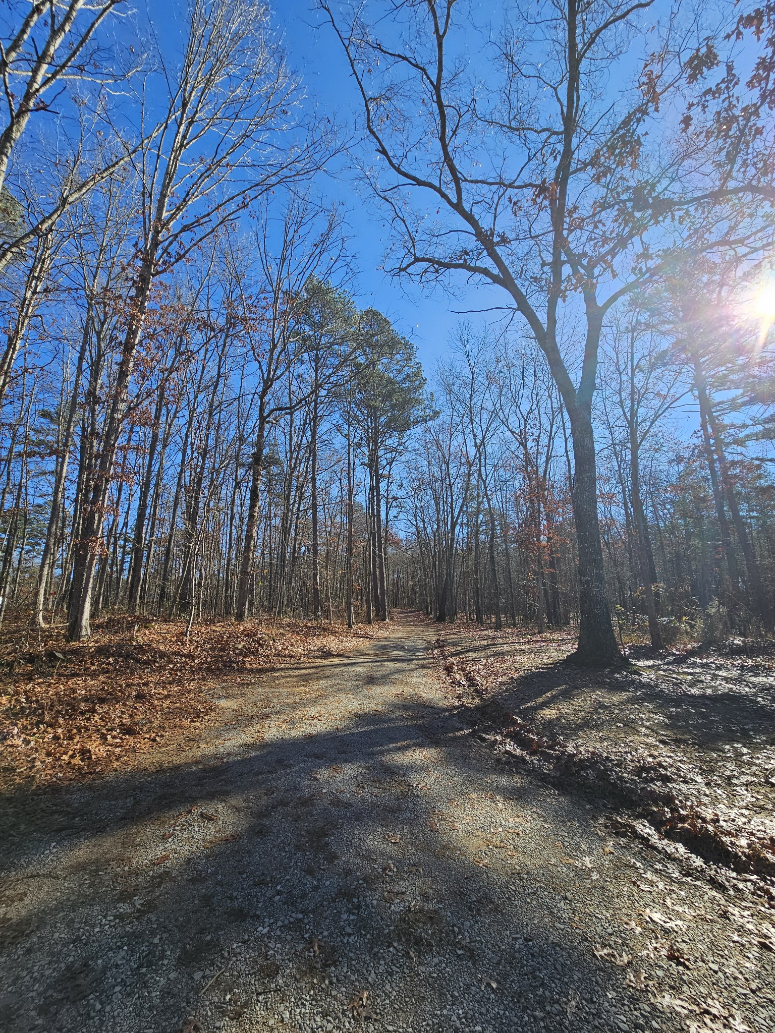 242 Ranger Creek Road Coalmont, TN 37313 - Photo 16 of 31