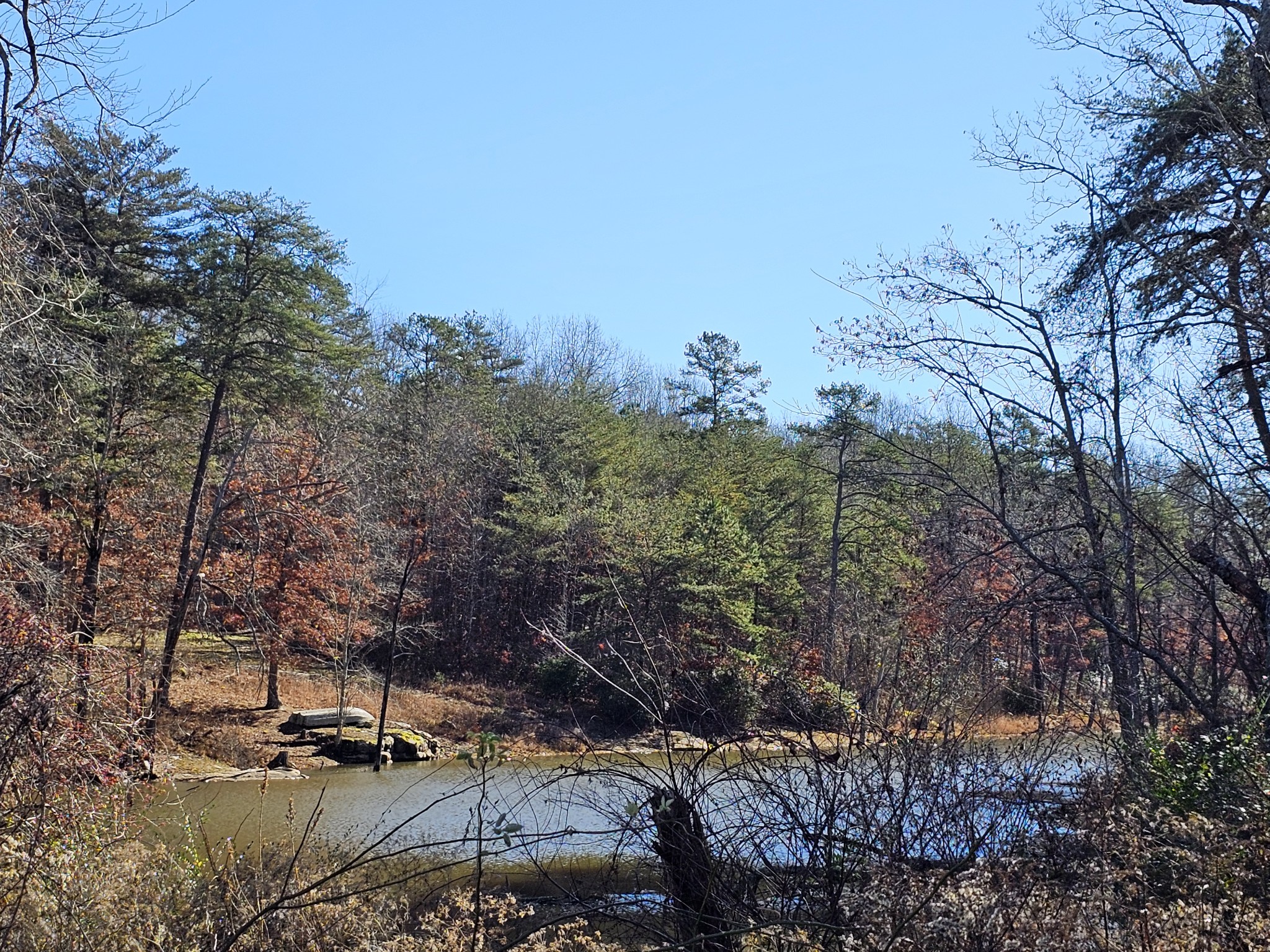 242 Ranger Creek Road Coalmont, TN 37313 - Photo 18 of 31