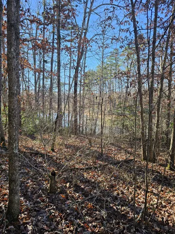 a view of outdoor space and a yard