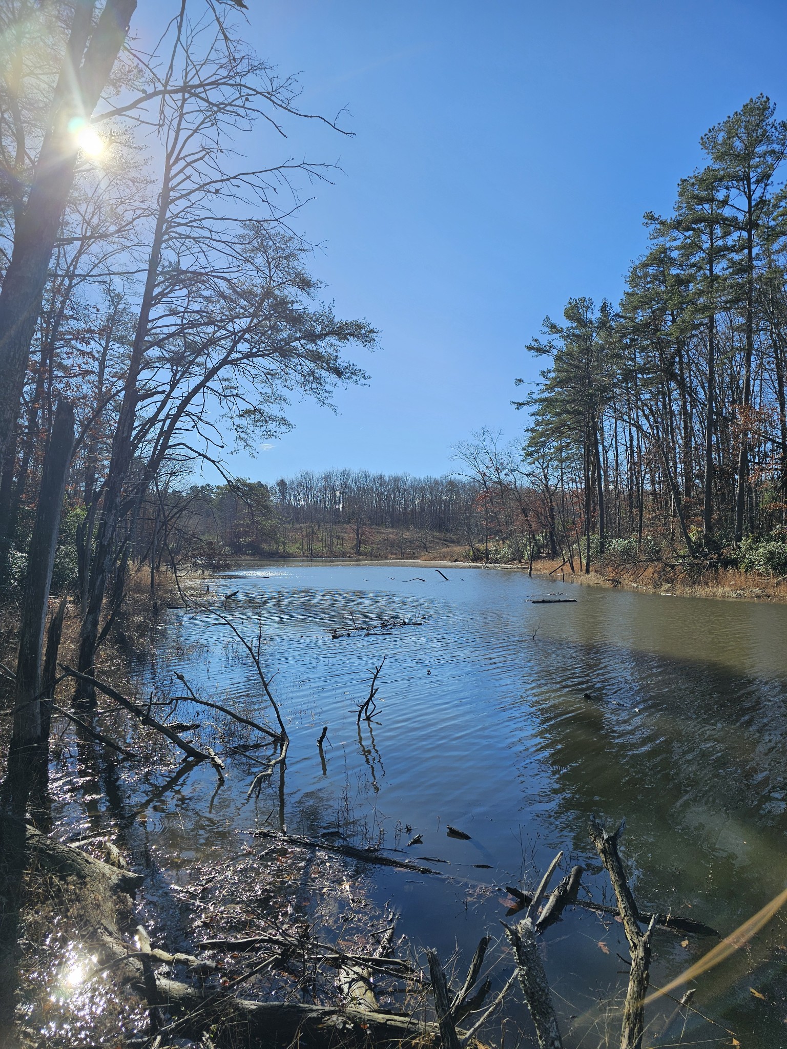 242 Ranger Creek Road Coalmont, TN 37313 - Photo 7 of 31