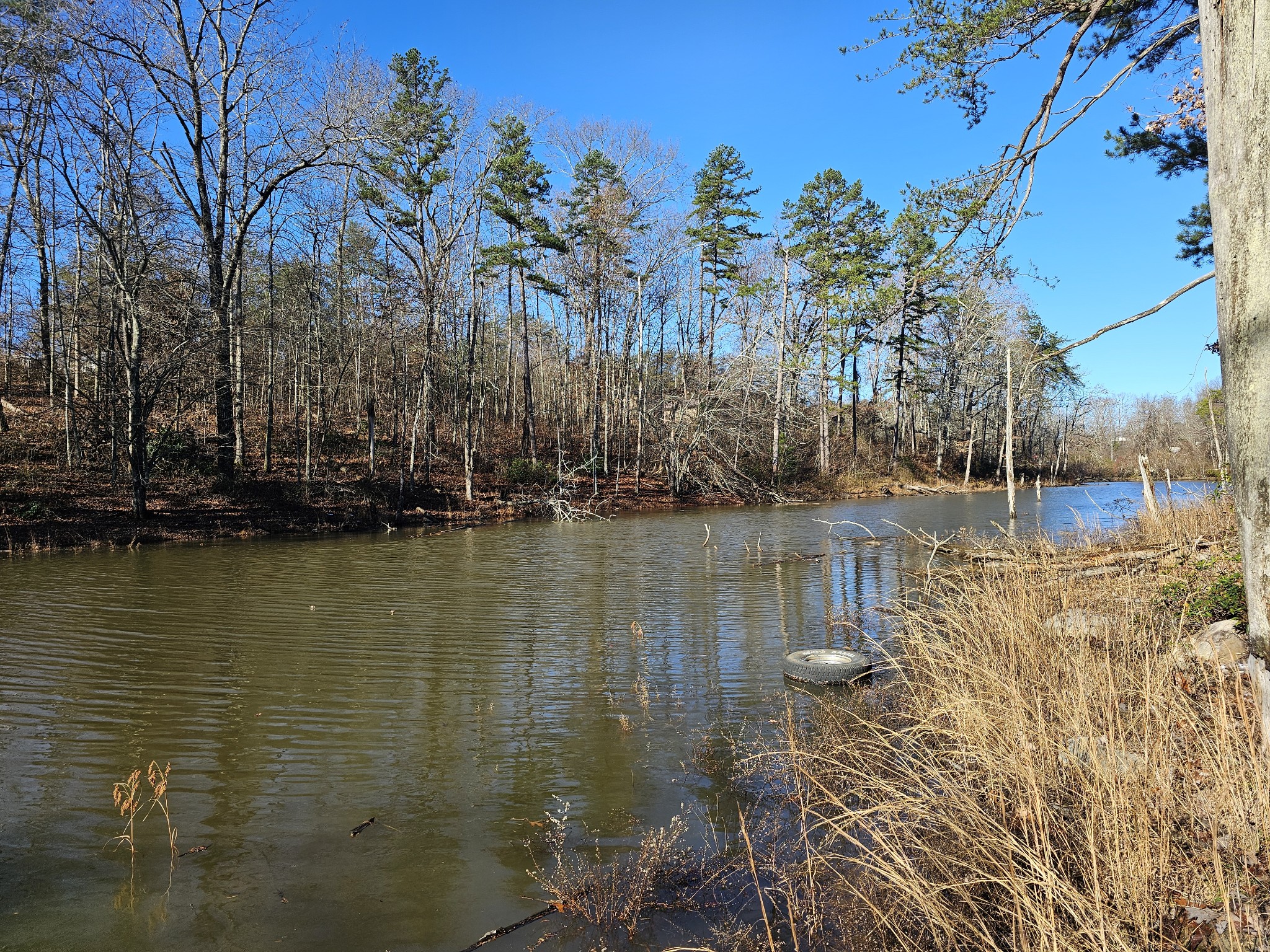 242 Ranger Creek Road Coalmont, TN 37313 - Photo 8 of 31