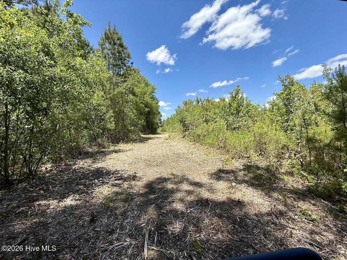 0 Guinea Mill Road Ernul, NC 28527 - Photo 39 of 48 Gallery Image 39
