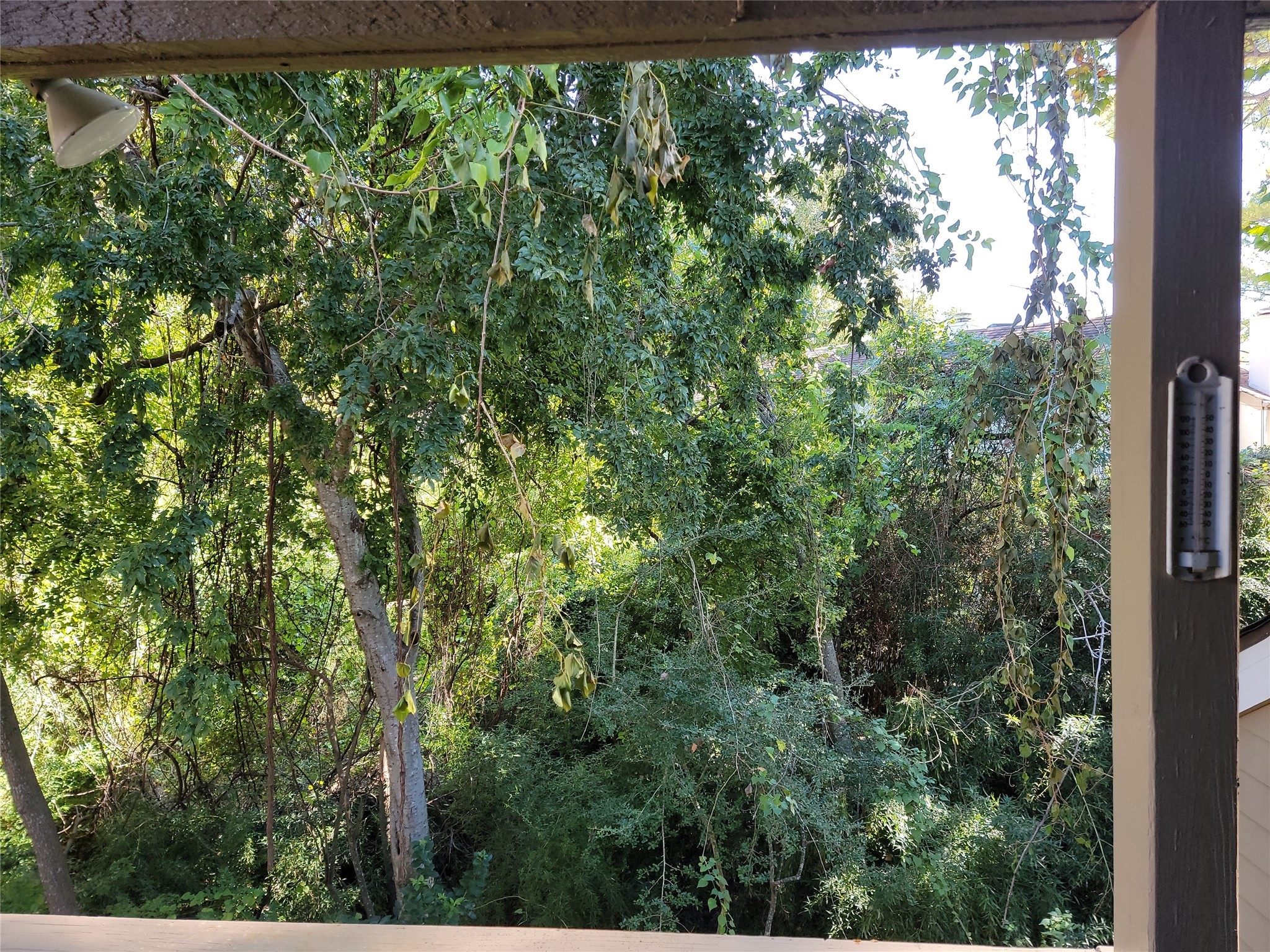 2100 Tanglewilde Street, Unit 600 Houston, TX 77063 - Photo 18 of 21 a view of a yard with a tree