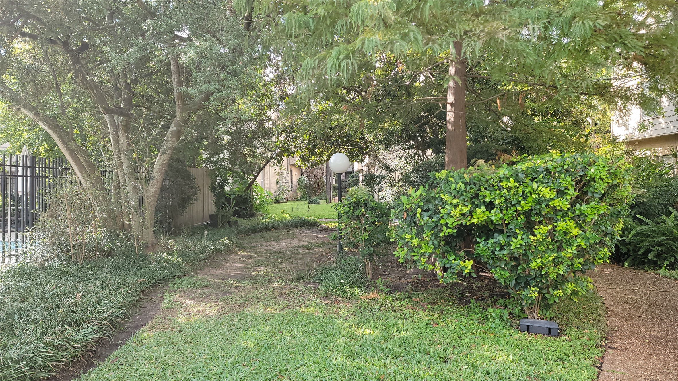 2100 Tanglewilde Street, Unit 600 Houston, TX 77063 - Photo 20 of 21 a view of a forest with trees in the background
