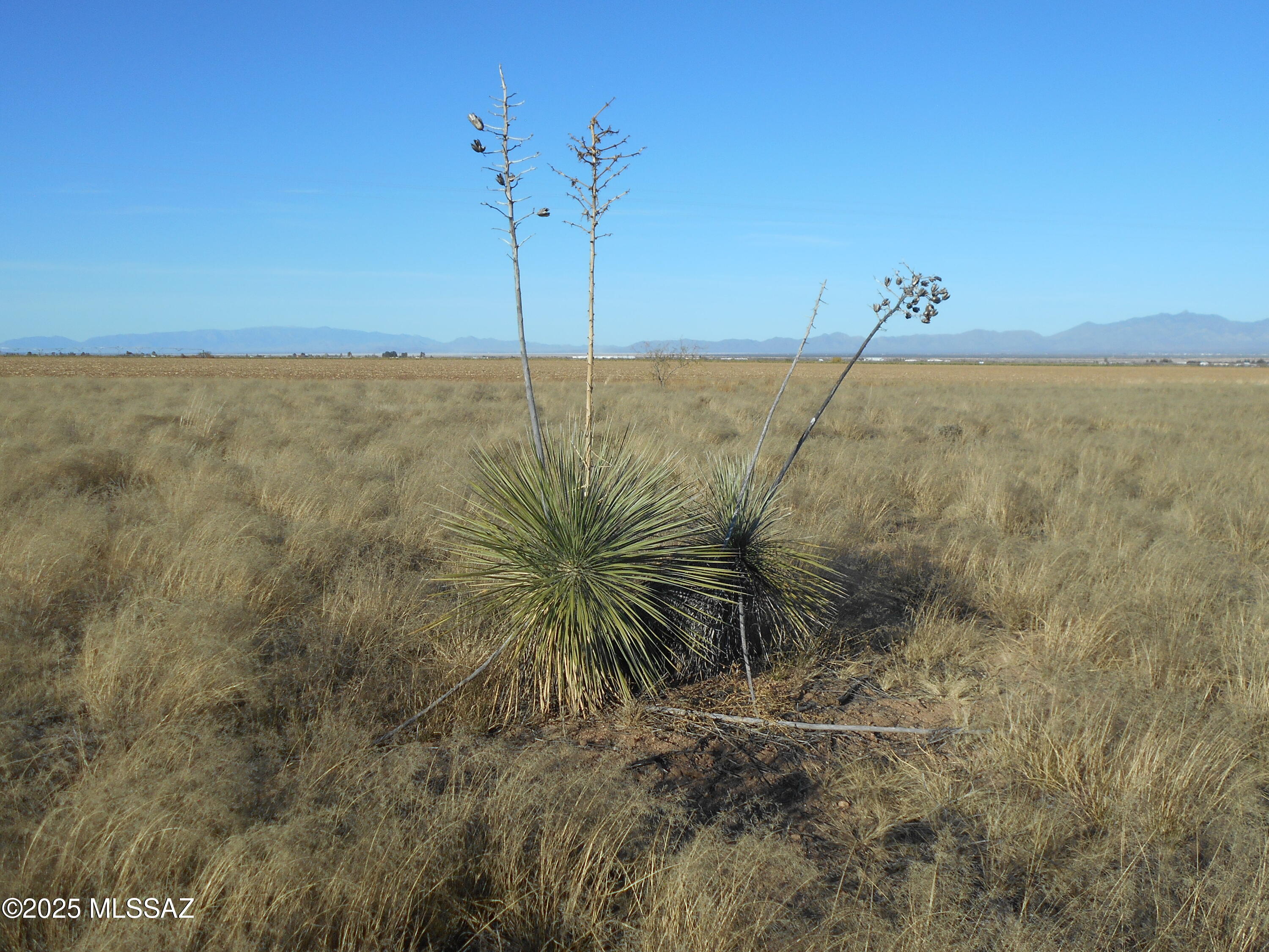 4.25-acres Eastland Road, Unit 8 Cochise, AZ 85606 - Photo 11 of 35