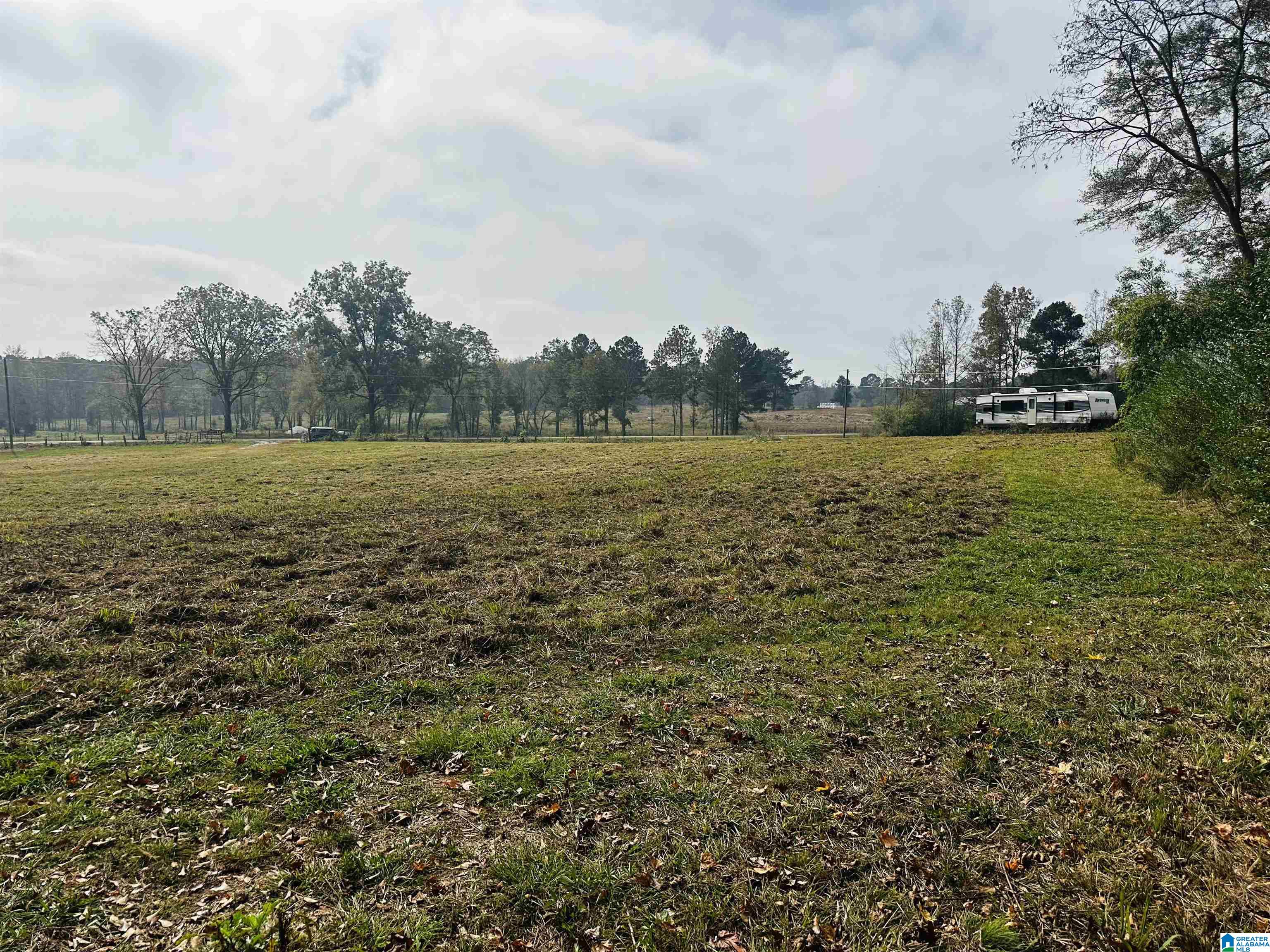 1721 McVey Road Lineville, AL 36266 - Photo 5 of 12