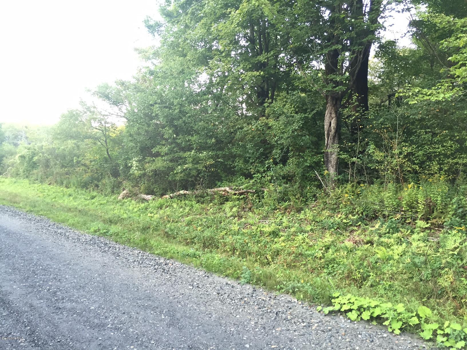 0 Peru Road Windsor, MA 01270 - Photo 2 of 8 Facing West