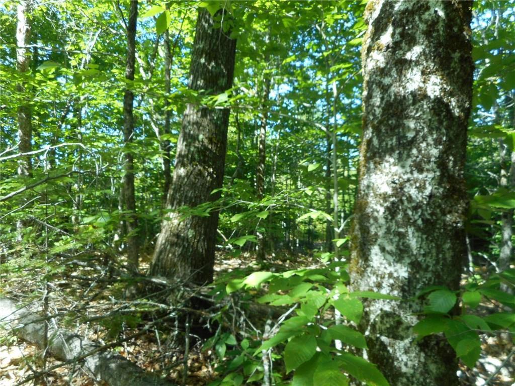 Lot 9 188th Route Lowell, ME 04493 - Photo 6 of 7 Photo
