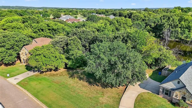 a view of a yard with plants