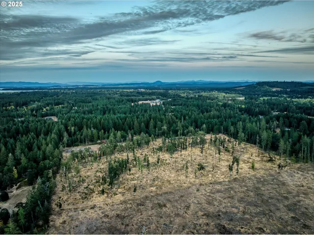 a view of a lake in middle of forest