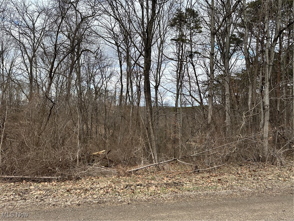 0 Fisher Ridge Road Fleming, OH 45729 - Photo 3 of 8 View of landscape