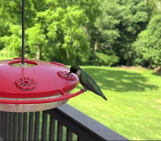 $725,000 | 207 East Hook Road, Hopewell Junction, NY 12533