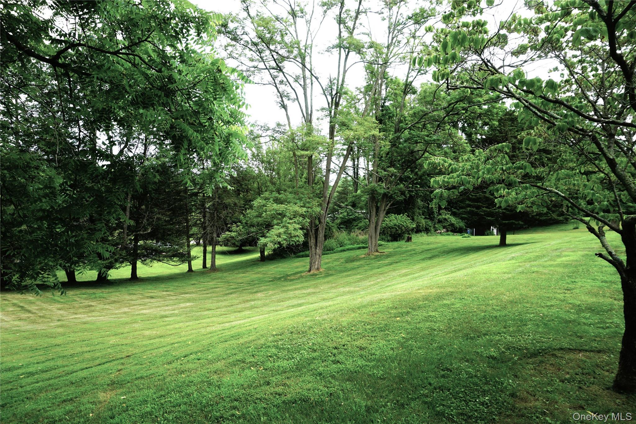 207 East Hook Road Hopewell Junction, NY 12533 - Photo 34 of 41 a ground with lots of trees