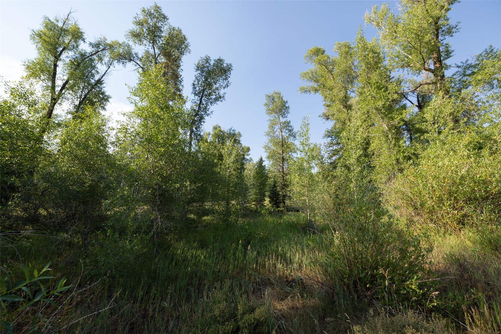 115 Game Trail Road Silverthorne, CO 80498 - Photo 26 of 36 Gallery Image 26
