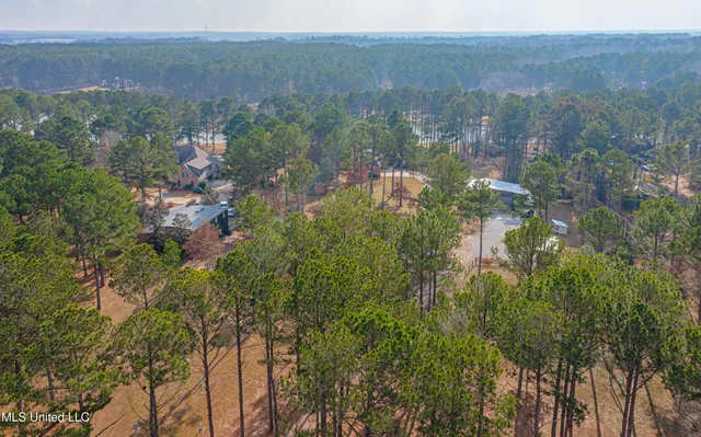 $900,000 | 167 Lakeshire Circle, Canton, MS 39046