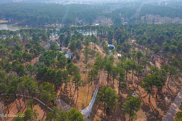 $900,000 | 167 Lakeshire Circle, Canton, MS 39046