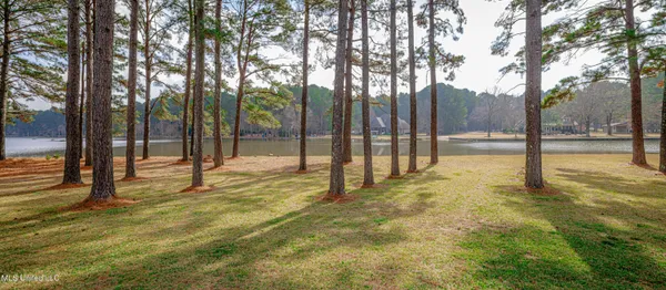 $900,000 | 167 Lakeshire Circle, Canton, MS 39046