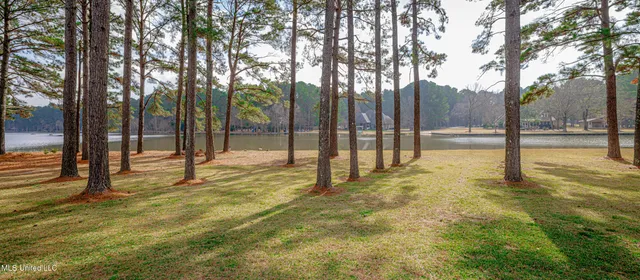 $900,000 | 167 Lakeshire Circle, Canton, MS 39046