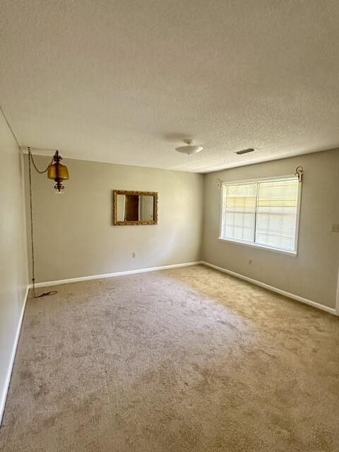 6049 Williams Road Ray City, GA 31645 - Photo 25 of 27 Gallery Image 25