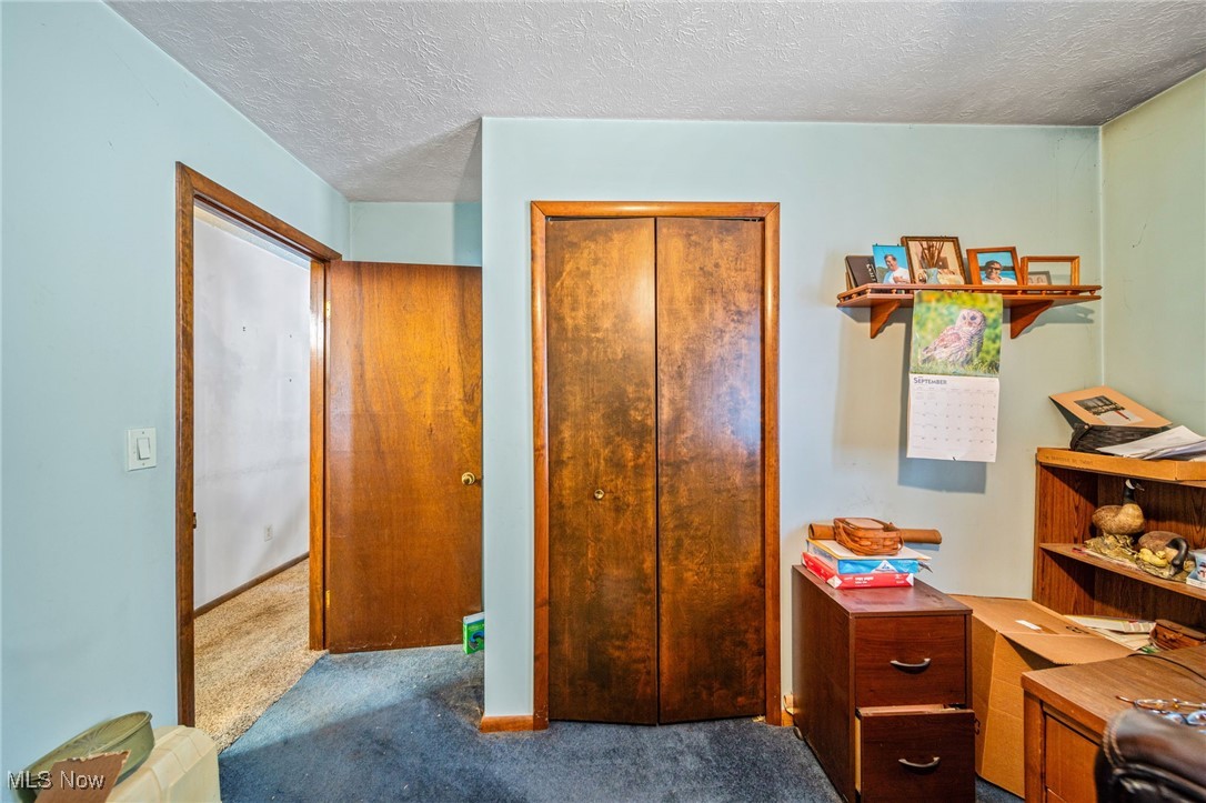 12430 Butternut Road Chardon, OH 44024 - Photo 24 of 33 Bedroom with carpet, a textured ceiling, and a closet