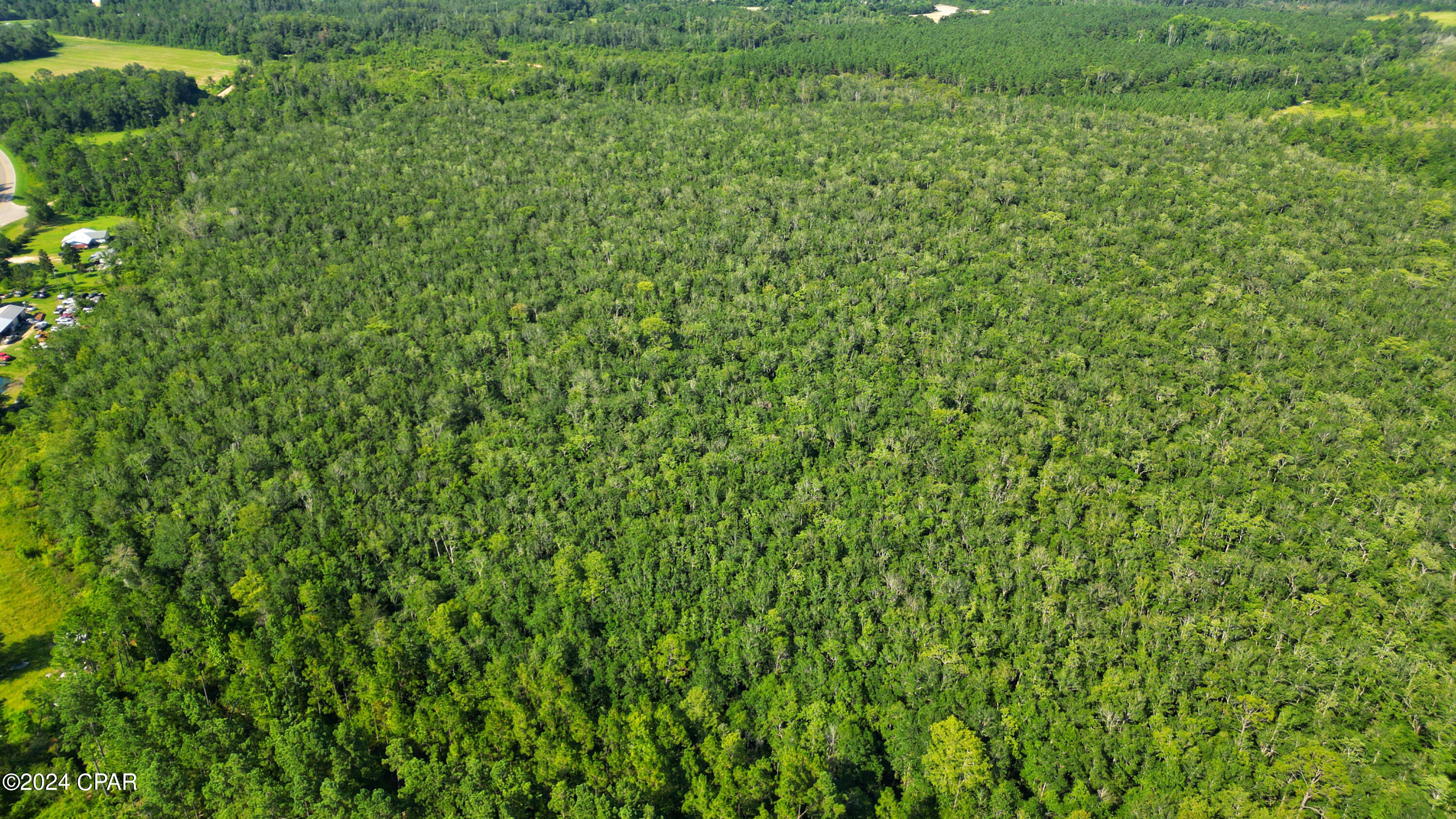 0 Dilmore Road Cottondale, FL 32431 - Photo 3 of 9