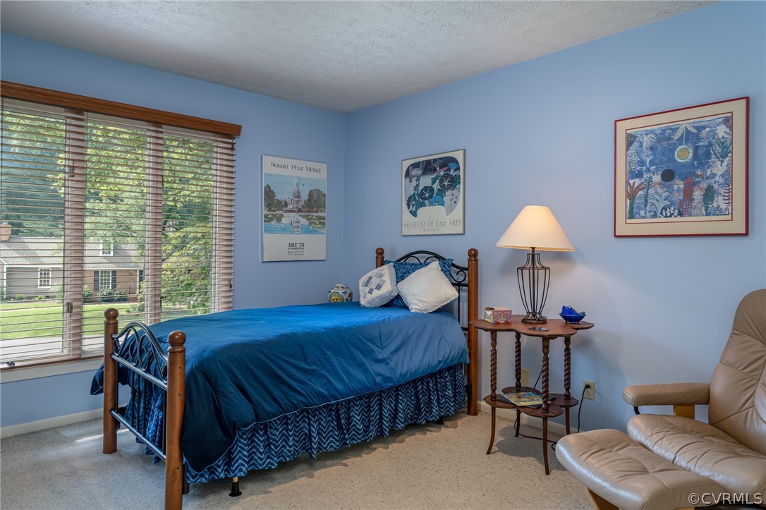 133 Daingerfield Road Williamsburg, VA 23185 - Photo 30 of 39 Gallery Image 30