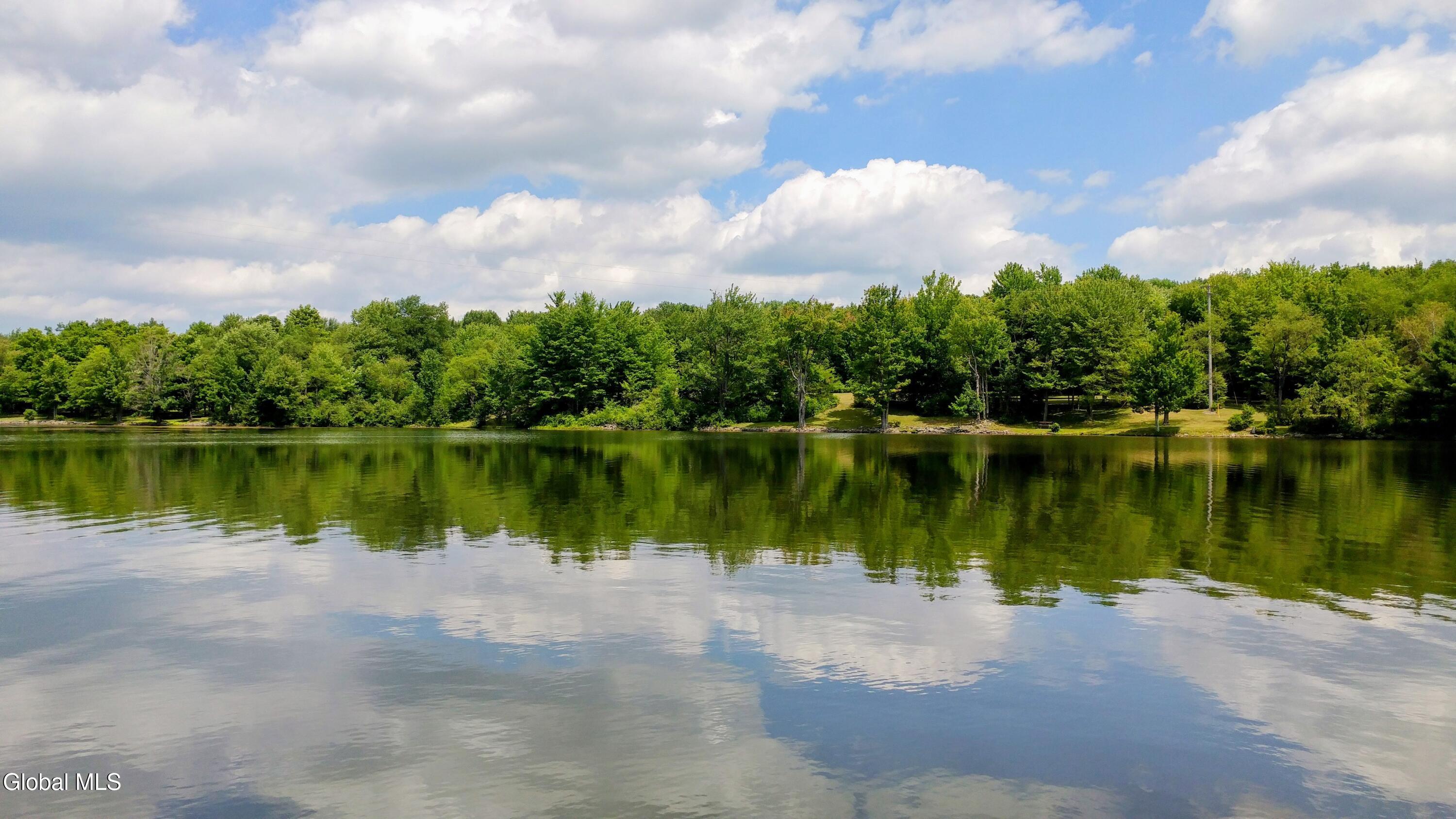 783 Woodstock Road, Unit LOT 4 Berne, NY 12059 - Photo 5 of 17 939c9864-2034-44ac-a461-61c838627193~1