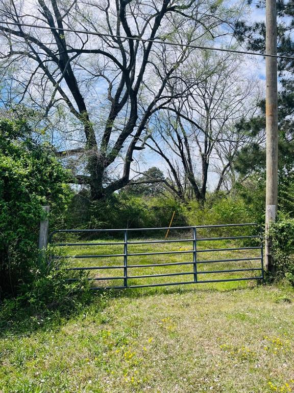 3804 Buchanan Loop Road Texarkana, TX 75501 - Photo 1 of 1 View of yard