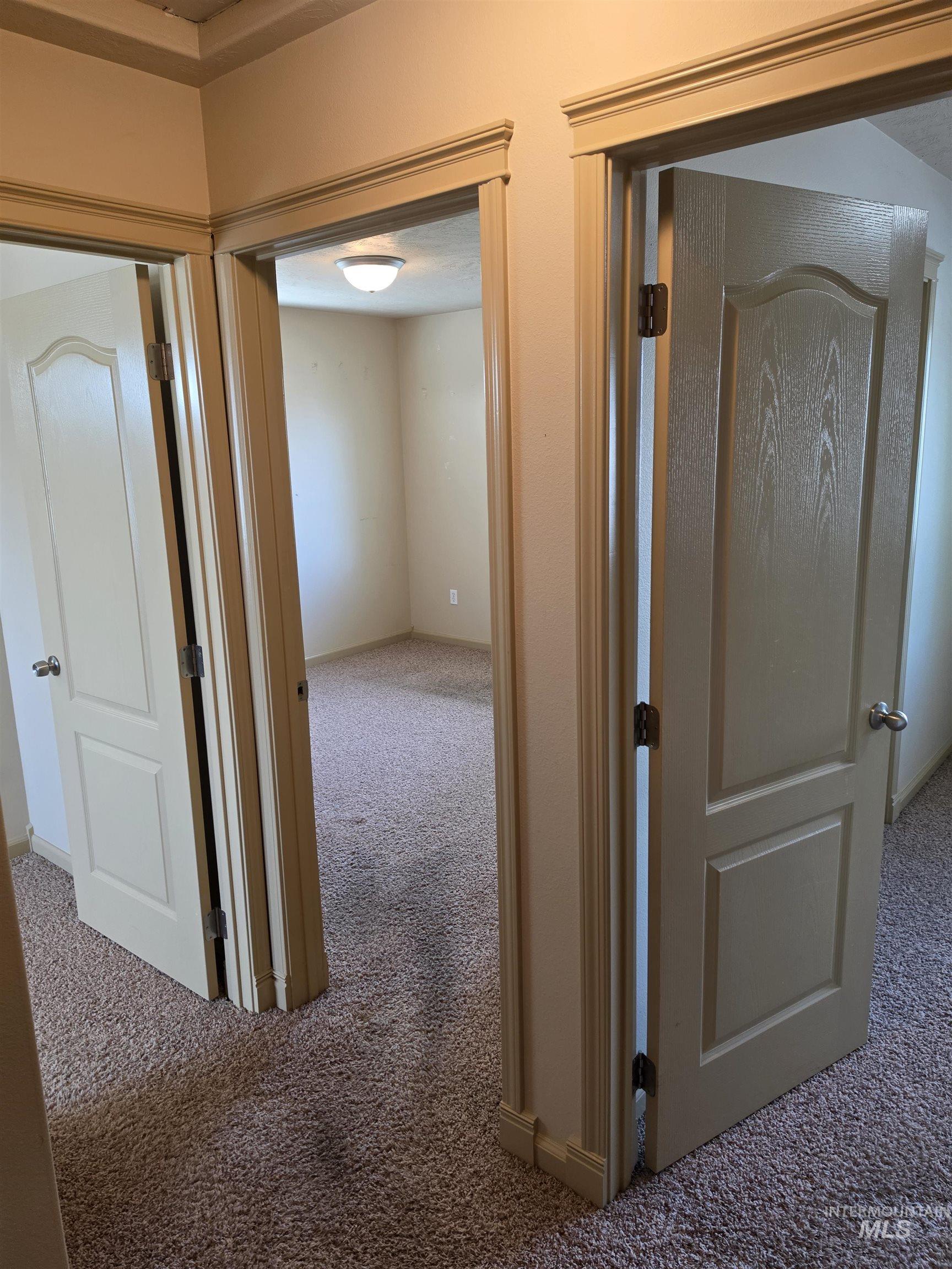 17599 Dark Zebra Way Nampa, ID 83687 - Photo 29 of 49