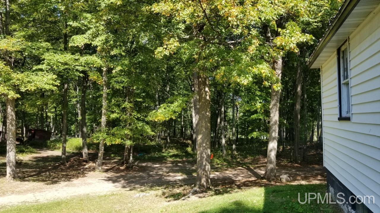 217 Reiman Road Iron River, MI 49935 - Photo 8 of 76