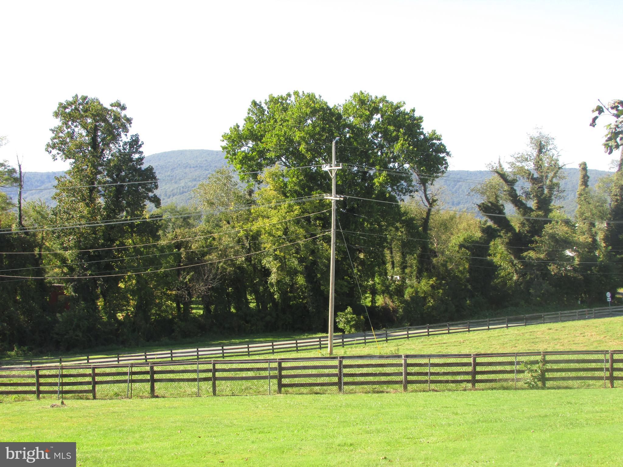 Jericho Road Flint Hill, VA 22627 - Photo 3 of 4