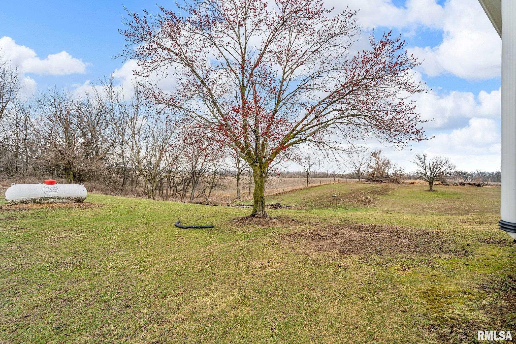 2266 Ridge Road Aledo, IL 61231 - Photo 23 of 25