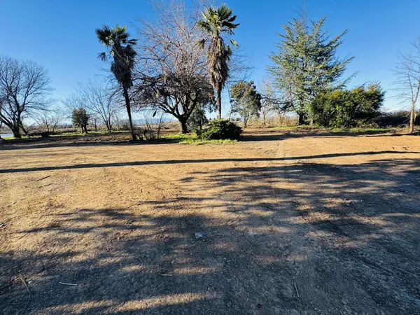a view of a yard with large trees